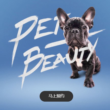 玛曲宠物中心小程序开发