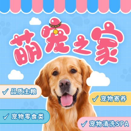 玛曲萌宠之家小程序开发